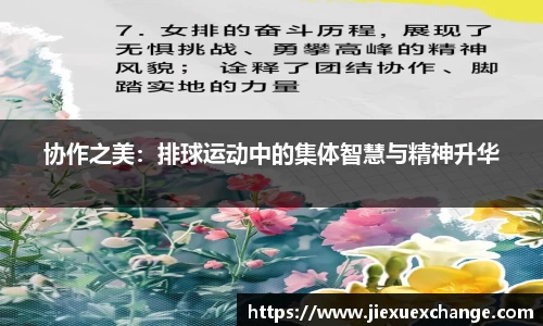 yy易游体育网址