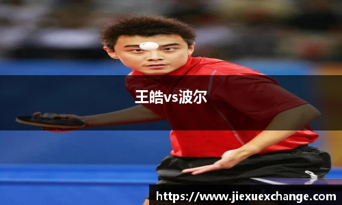 王皓vs波尔